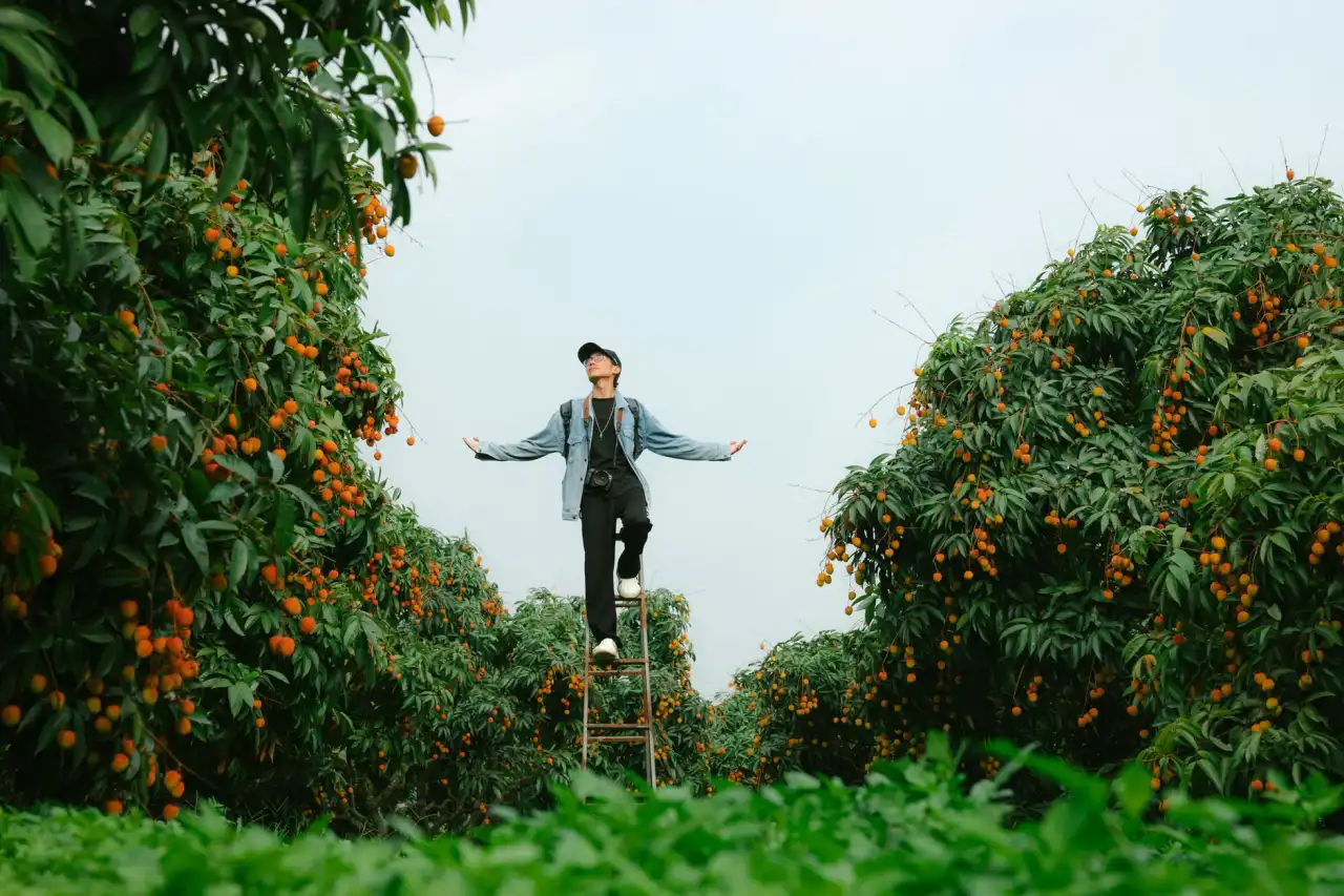 2025年企业管理软件技术趋势：云端ERP与AI辅助决策的应用前景