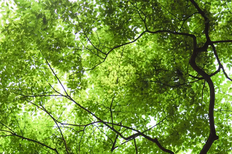 山西中小企业ERP选型指南：进销存与财务管理模块深度解析